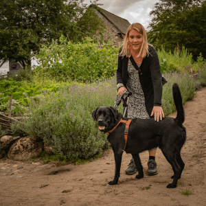 Hunde er velkomne på Hjerl Hede